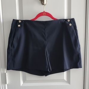 Ann Taylor Navy Shorts